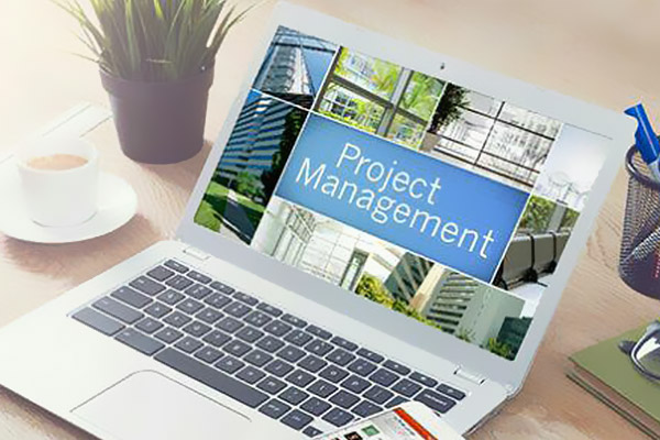 Organizational Program and Project Management Services